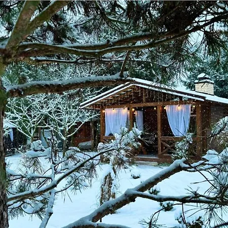 в горах Gæstehus Solochyn