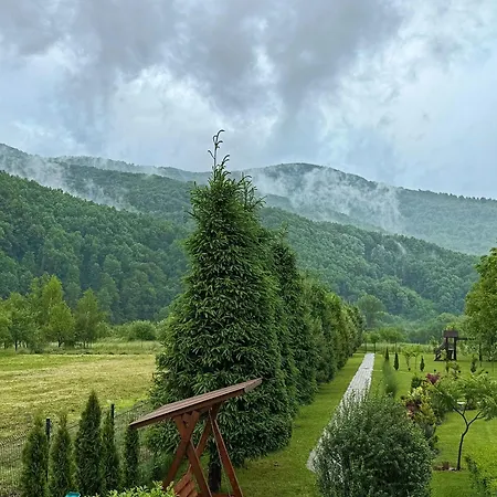 в горах *