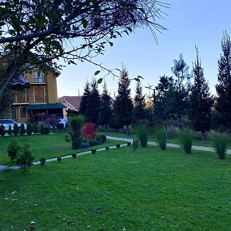 в горах Solochyn