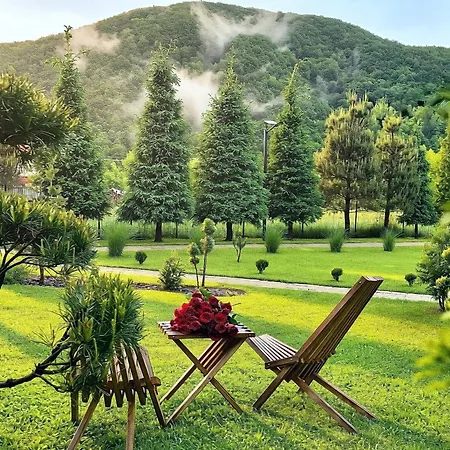 в горах Solochyn
